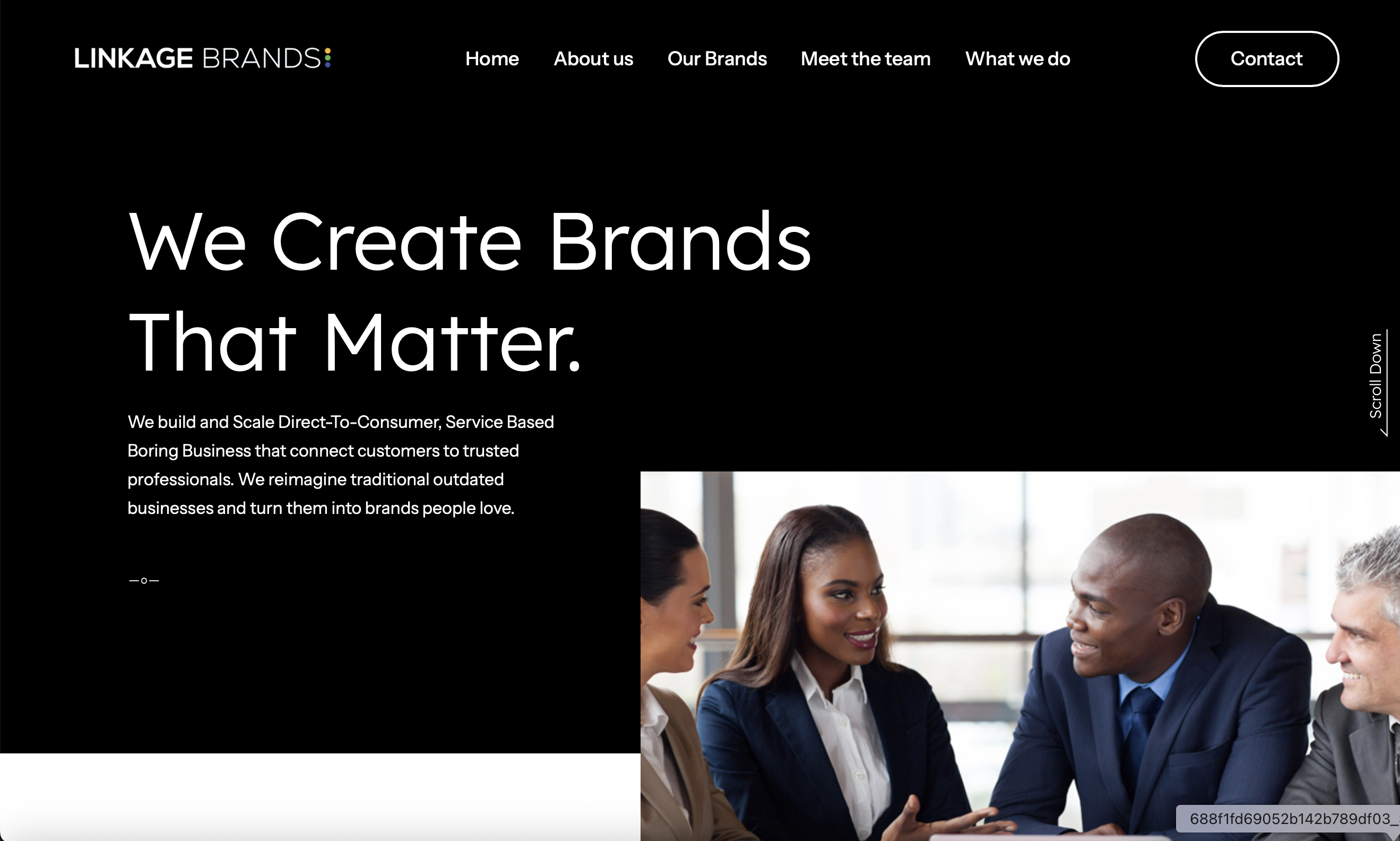 Linkage Brands website screenshot